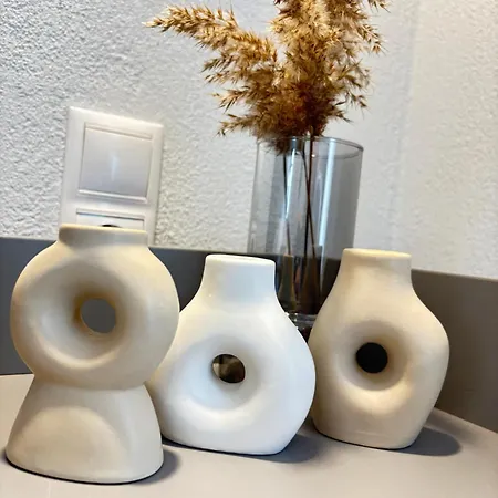 Minas Luxury Guest house 3*