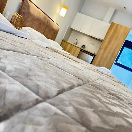 Guest house Minas Luxury